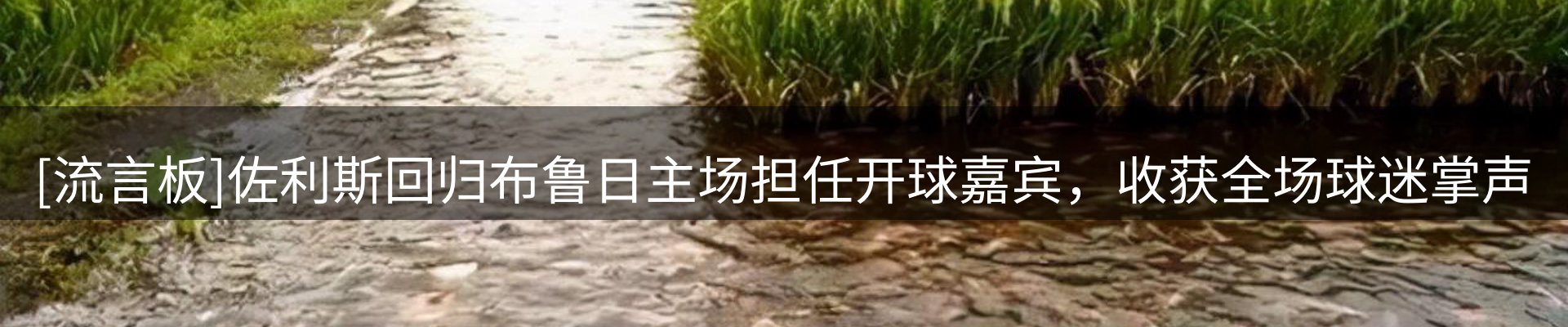 资讯汇编